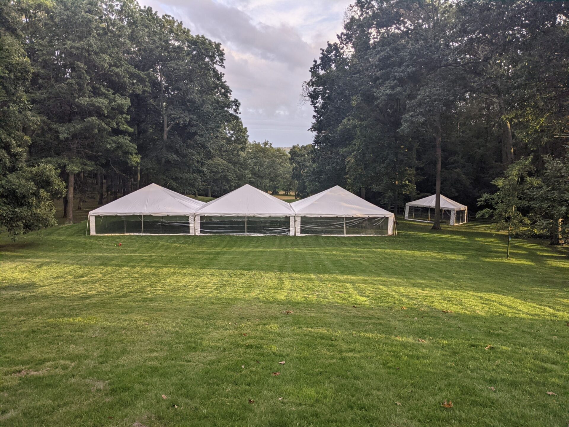 Four white tents surrounded by trees